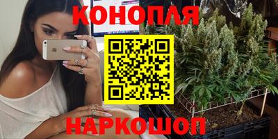 наркотики Камышлов