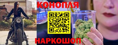 наркотики Камышлов