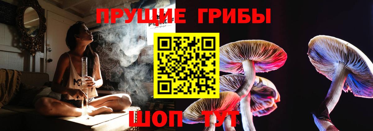 Галлюциногенные грибы прущие грибы Краснокаменск